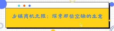 乡镇商机无限：探索那些空缺的生意领域