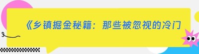 《乡镇掘金秘籍：那些被忽视的冷门暴利生意》