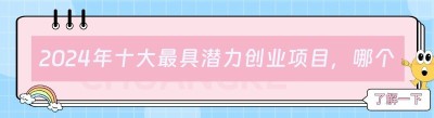 2024年十大最具潜力创业项目，哪个能让你在未来5年脱颖而出？