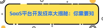 SaaS平台开发成本大揭秘：你需要知道的那些事儿