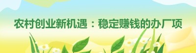 农村创业新机遇：稳定赚钱的办厂项目推荐