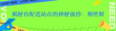 揭秘自配送站点的神秘面纱：那些鲜为人知的形式