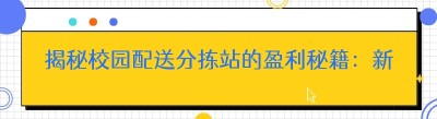 揭秘校园配送分拣站的盈利秘籍：新手小白轻松上手