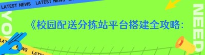 《校园配送分拣站平台搭建全攻略：不止一种方法，你知道几种？》
