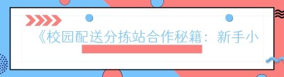 《校园配送分拣站合作秘籍：新手小白轻松上手》