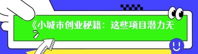 《小城市创业秘籍：这些项目潜力无限》