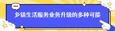 乡镇生活服务业务升级的多种可能